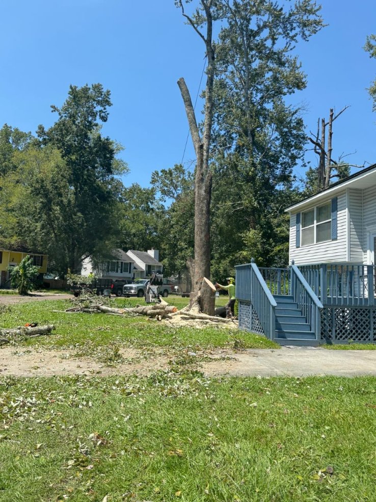 Lion Tree Service and Landscaping LLC project photo 2